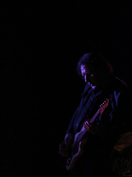 The bass guitarist on a dark stage highlighted by a single purple light.